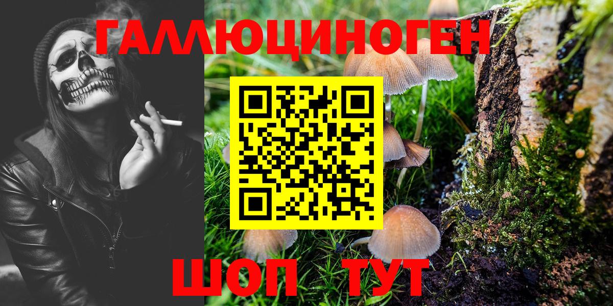 Кохма  Галлюциногенные грибы Magic Shrooms  Вход с VPN 