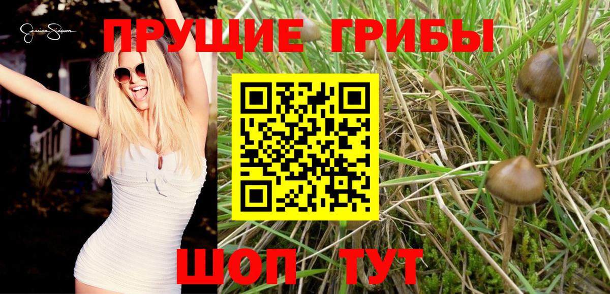 Псилоцибиновые грибы мухоморы Кохма